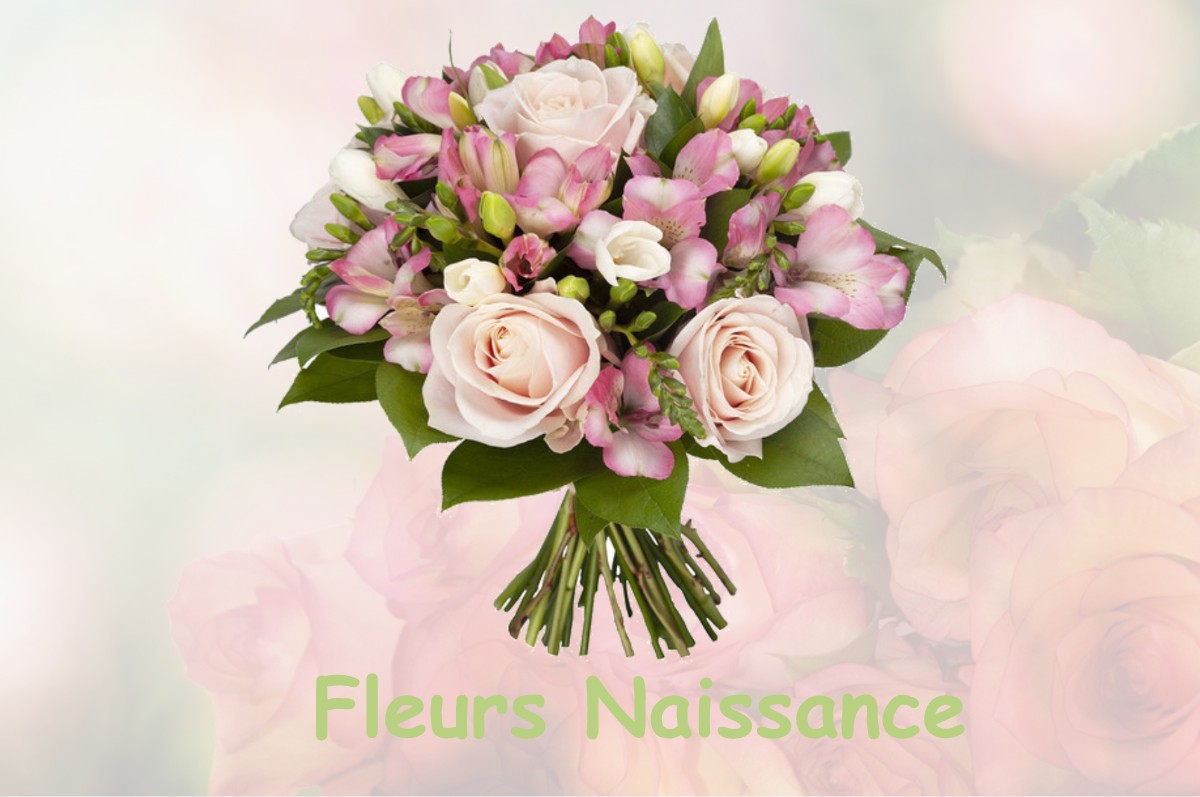 fleurs naissance SIVRY-LA-PERCHE